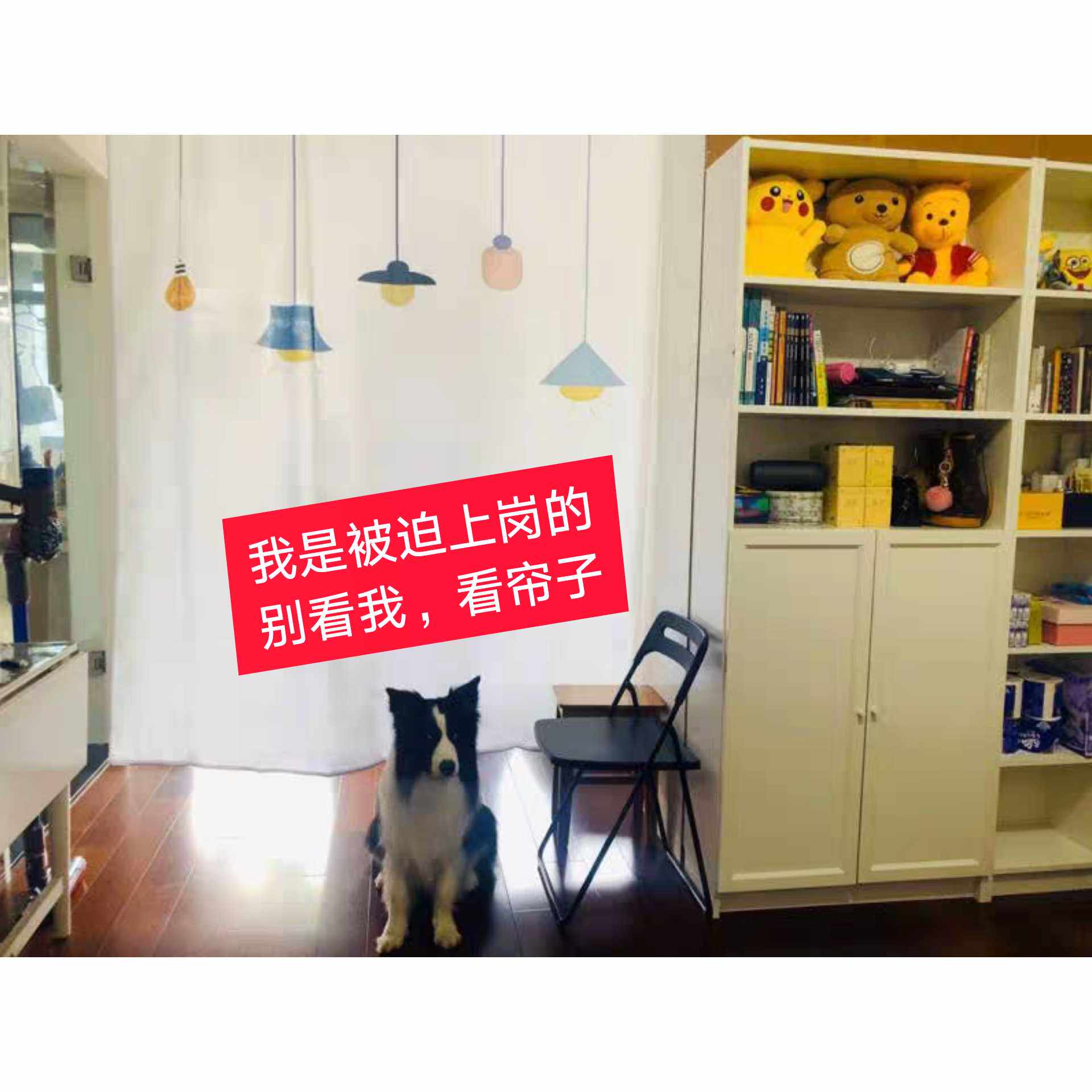 Bathroom Water Retaining Bath Curtain Makeup Room Suit Free of perforated window curtain Bath Hanging Curtain thickened Pendant Waterproof Pull Curtain