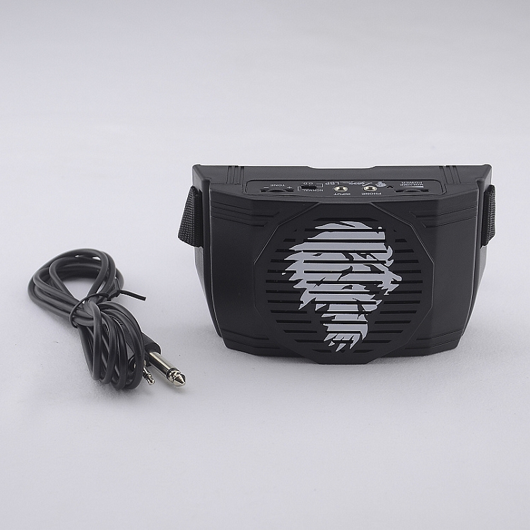 American Lyon mini - electric guitar sound small speaker battery - powered palm size