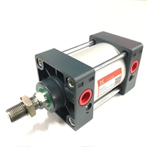 Standard cylinder EU SC80-25 80-50 80-75 80-100 80-150 80-200 80-250-S