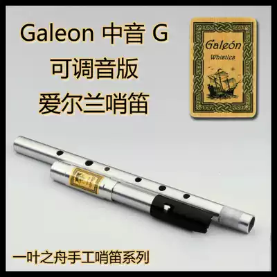 Children's teacher selection-Galleon metal alto G alto F bass D Irish whistle-boutique recorder bagpipes