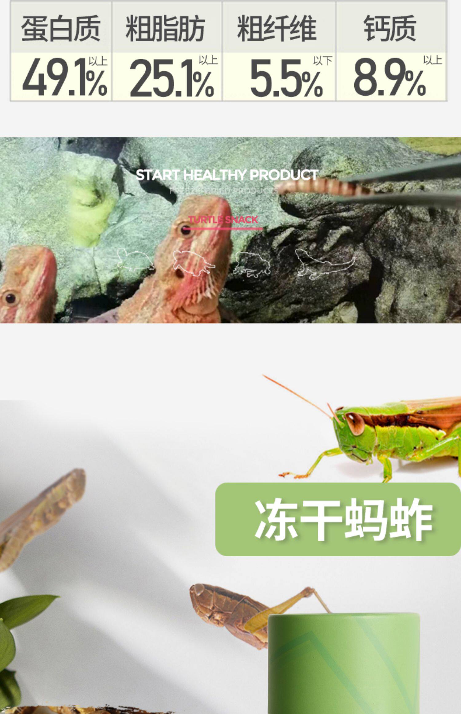 Насекомое питания рептилий/мин 保鲜冻干面包虫蟋蟀爬虫守宫蜥蜴仓鼠龙鱼刺猬食物乌龟非活体饲料