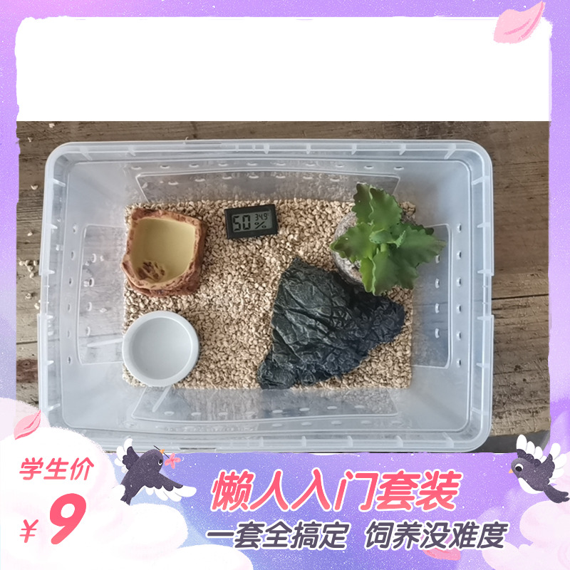Novice gecko lizard reptile medium and large feeding box lazy suit to avoid water basin tweezers thermometer for landscaping