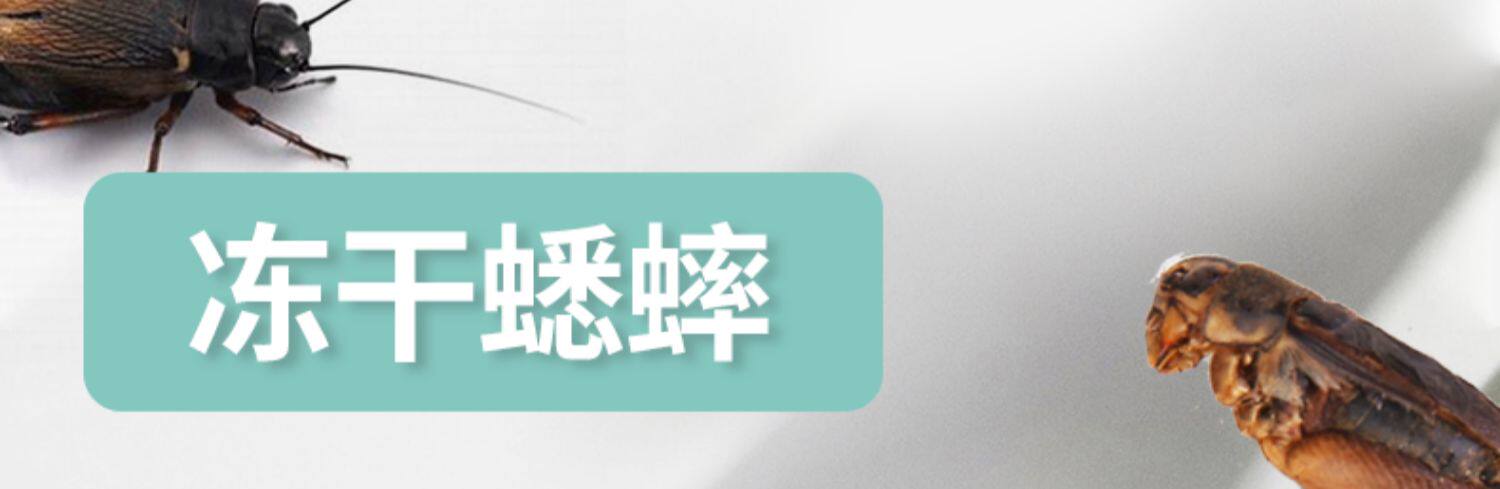 Насекомое питания рептилий/мин 保鲜冻干面包虫蟋蟀爬虫守宫蜥蜴仓鼠龙鱼刺猬食物乌龟非活体饲料