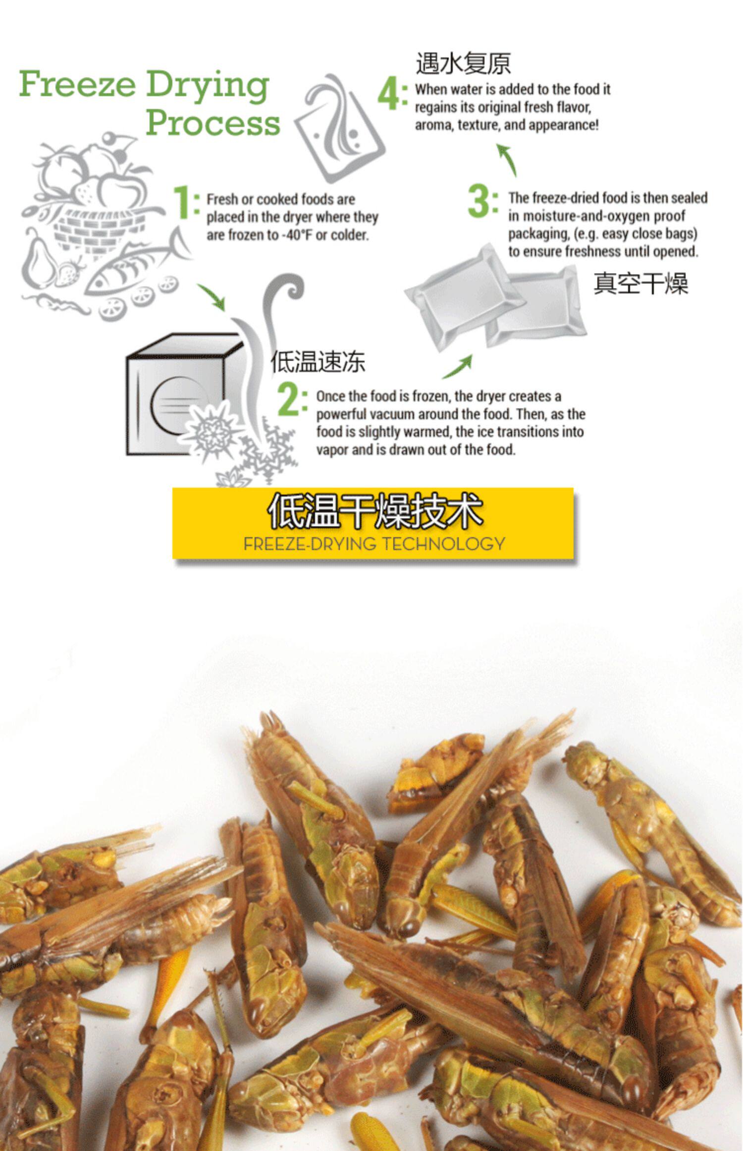 Насекомое питания рептилий/мин 保鲜冻干面包虫蟋蟀爬虫守宫蜥蜴仓鼠龙鱼刺猬食物乌龟非活体饲料