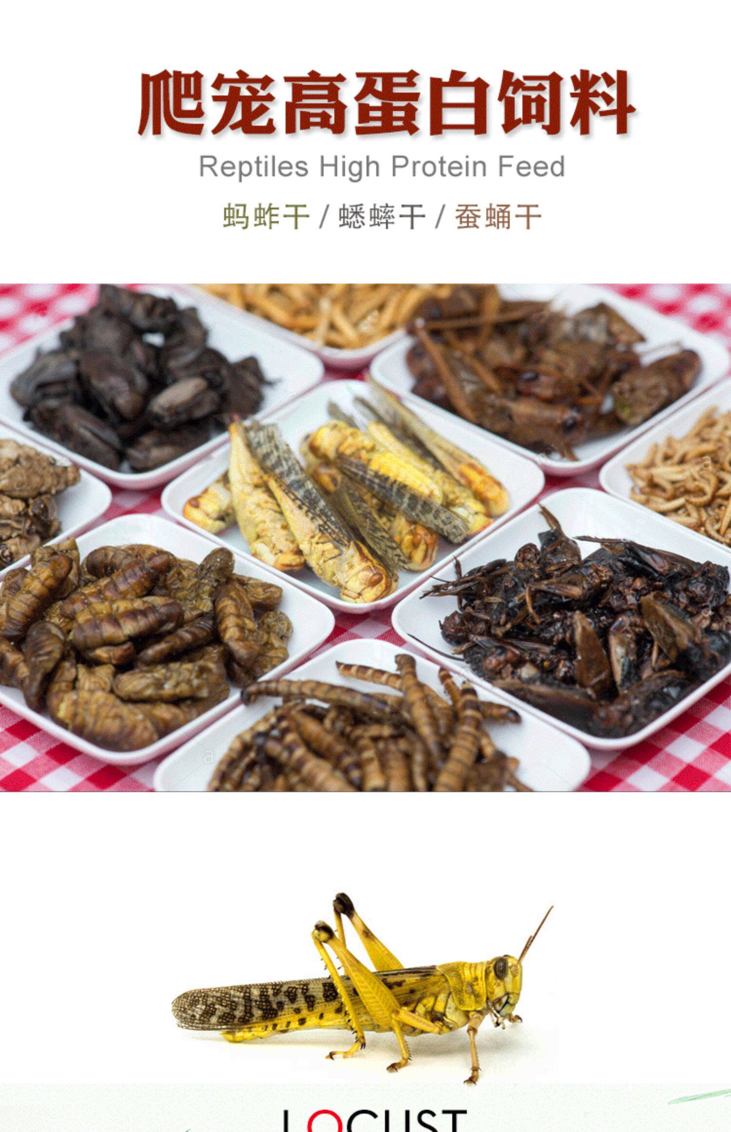 Насекомое питания рептилий/мин 保鲜冻干面包虫蟋蟀爬虫守宫蜥蜴仓鼠龙鱼刺猬食物乌龟非活体饲料
