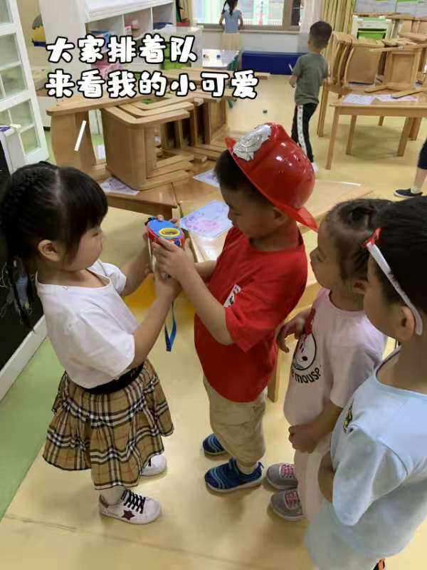 Аксессуары для рептилии None