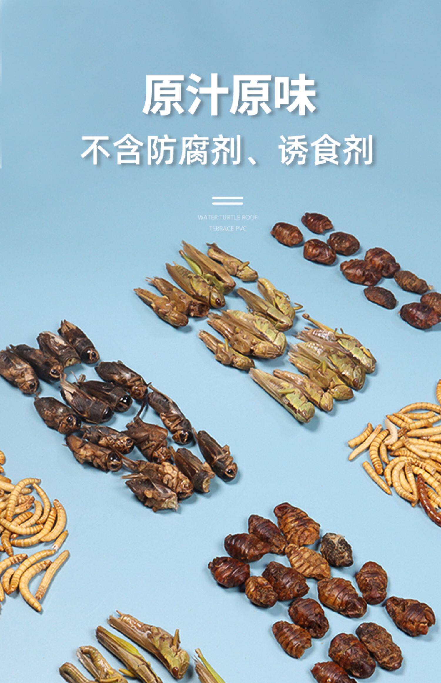 Насекомое питания рептилий/мин 保鲜冻干面包虫蟋蟀爬虫守宫蜥蜴仓鼠龙鱼刺猬食物乌龟非活体饲料