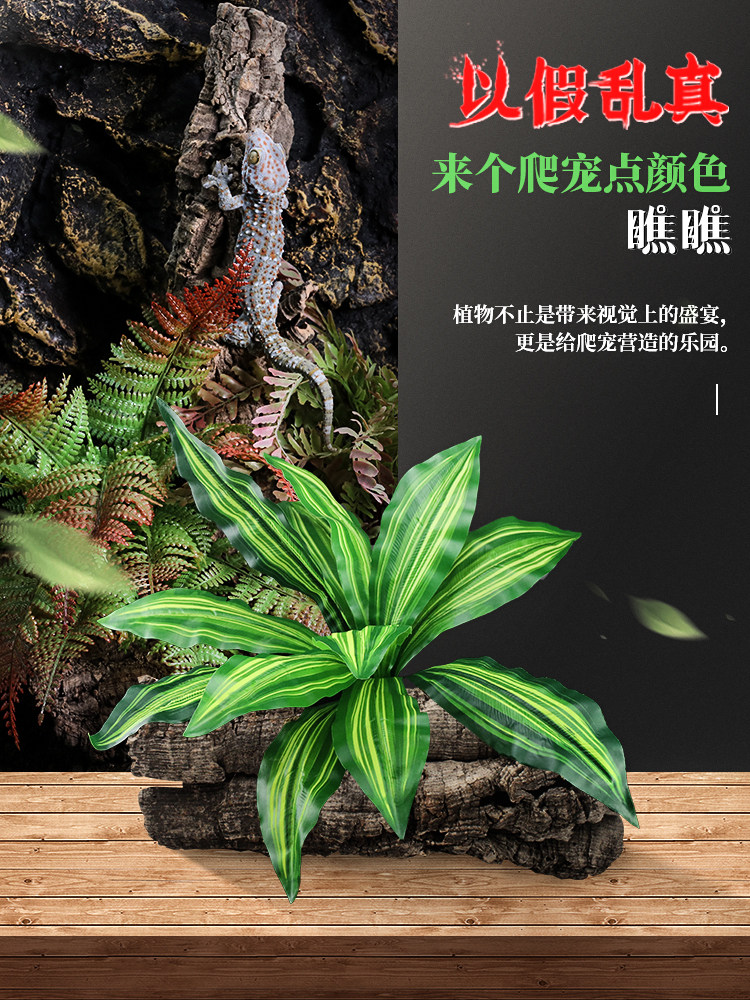 Reptile Emulation Patron Lizard Lizard Desert Plant Built View Tropical Rainforest Box Green Turtle Bionic state cylinder decoration