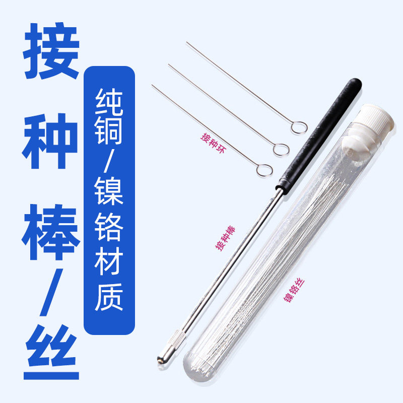 金属接种棒 铜棒 镍铬丝合金接种环（棒+环）接种棒 山东实验用品