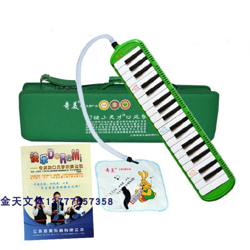 Chimei Kou Organ Lecture Hall Teaching Children Beginners With 37 Harmonica Professional Instruments Small Genius Hard Bag Green-Taobao