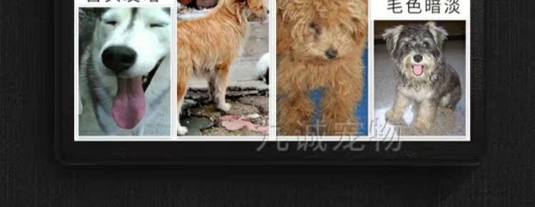 Thức ăn cho chó Mussel giá đầy đủ chó con thực phẩm nói chung loại chó giống chó con thức ăn cho chó Teddy chó Golden Retriever 500g - Chó Staples thức an cho chó bao 20kg giá rẻ
