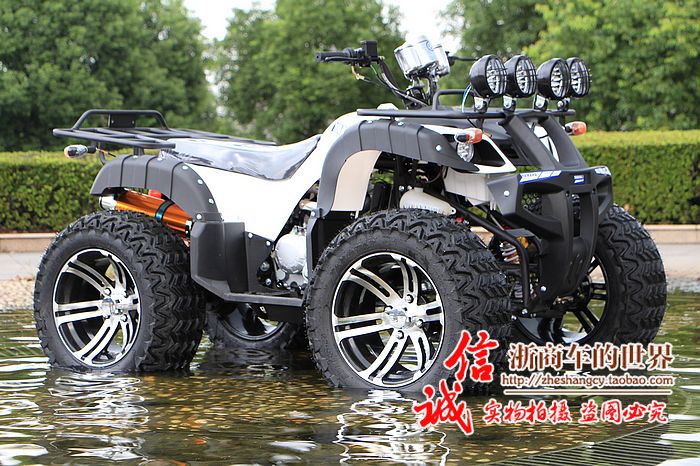 Lớn và nhỏ bull bãi biển trục ổ đĩa bốn bánh off-road xe máy Zongshen làm mát bằng nước điện sa mạc xe máy snowmobile