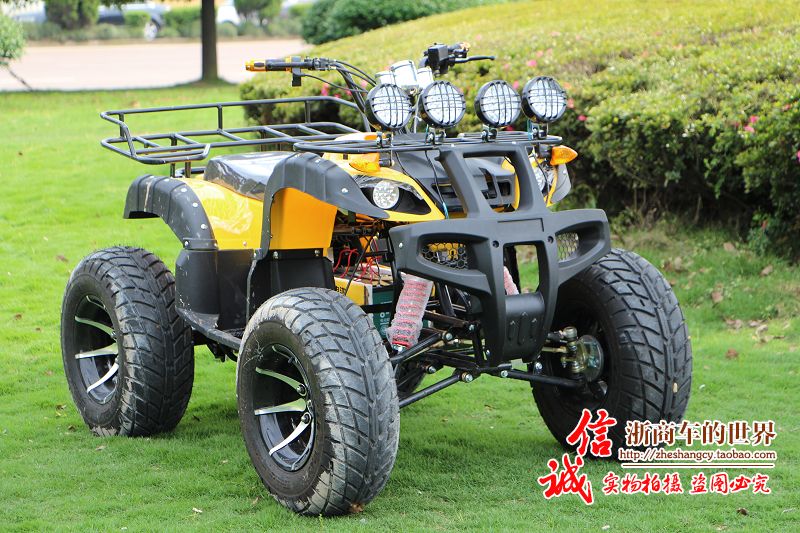 Lớn và nhỏ bull bãi biển trục ổ đĩa bốn bánh off-road xe máy Zongshen làm mát bằng nước điện sa mạc xe máy snowmobile