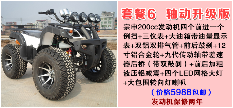 Lớn và nhỏ bull bãi biển trục ổ đĩa bốn bánh off-road xe máy Zongshen làm mát bằng nước điện sa mạc xe máy snowmobile