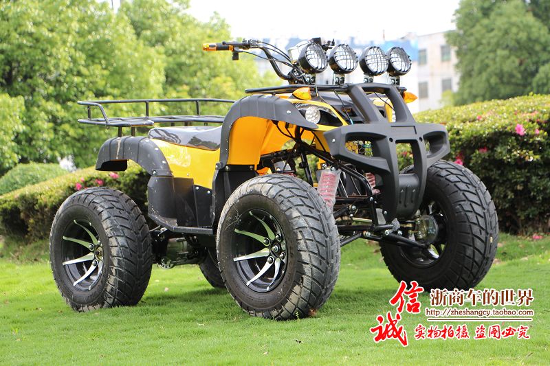 Lớn và nhỏ bull bãi biển trục ổ đĩa bốn bánh off-road xe máy Zongshen làm mát bằng nước điện sa mạc xe máy snowmobile