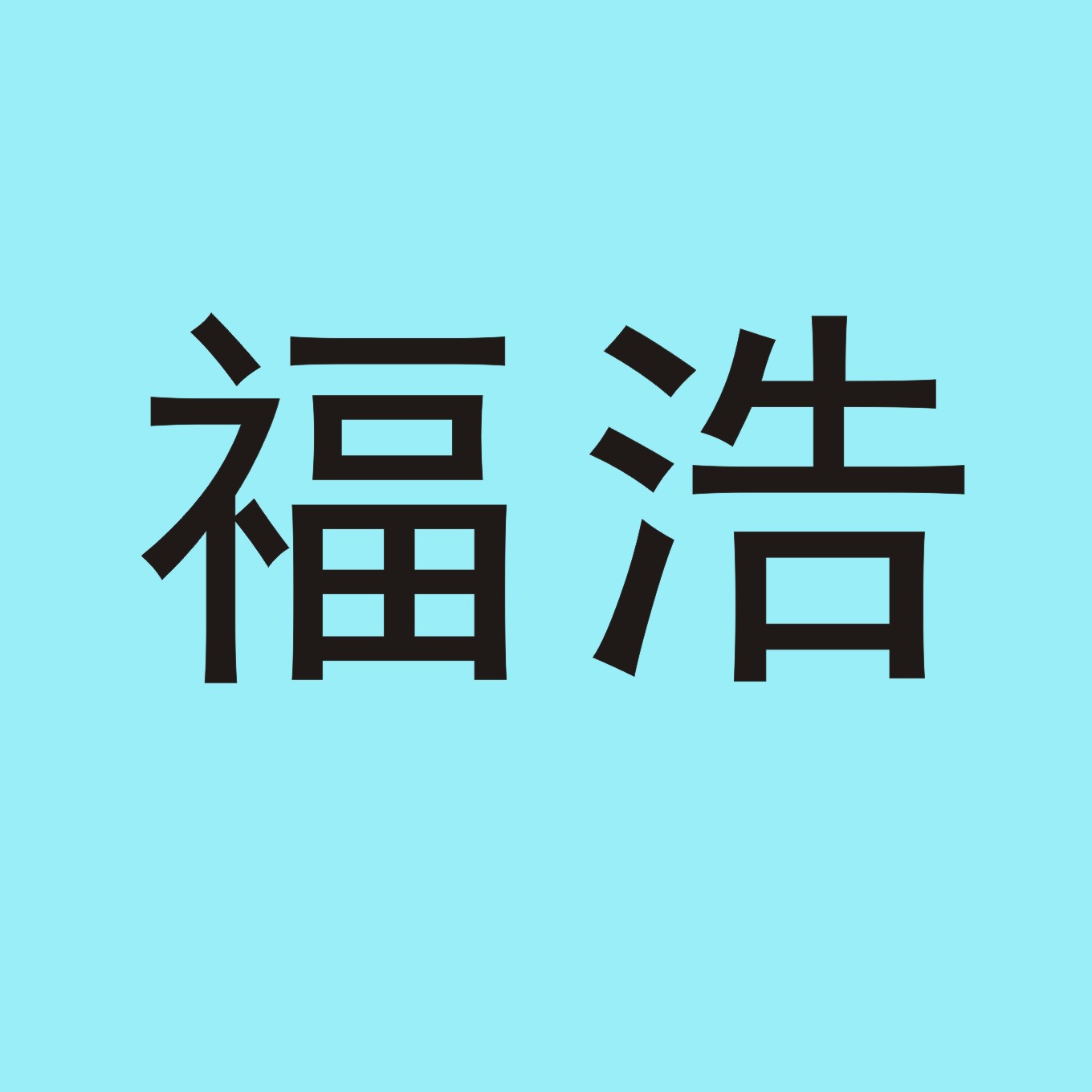 福浩实业的LOGO