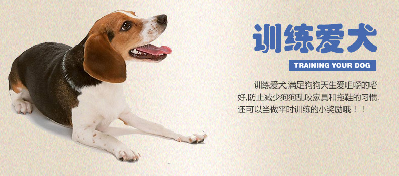 Molar Stick Dog Snacks Teddy Golden Retriever Puppy Đào tạo Làm sạch Răng Xương Xương Thưởng chó Nhai Rau Gậy thức ăn chó smartheart