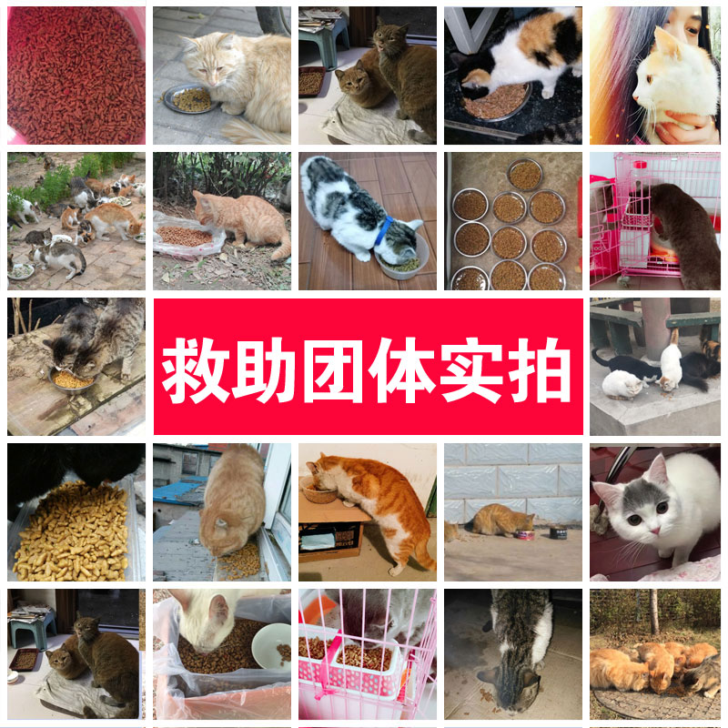 Dinh dưỡng tự nhiên thức ăn cho mèo 10 kg bé thức ăn cho mèo vào thức ăn cho mèo hải sản sâu cá tất cả tuổi đi lạc mèo staple thực phẩm 20 kg hạt anf cho mèo