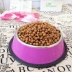 Thức ăn cho chó Imai 2,5kg Keji người lớn thức ăn cho chó thức ăn cho chó 5 kg thức ăn chính cho chó hạt zenith Chó Staples