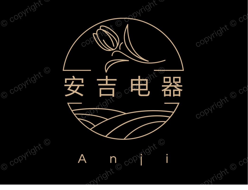 安吉电器