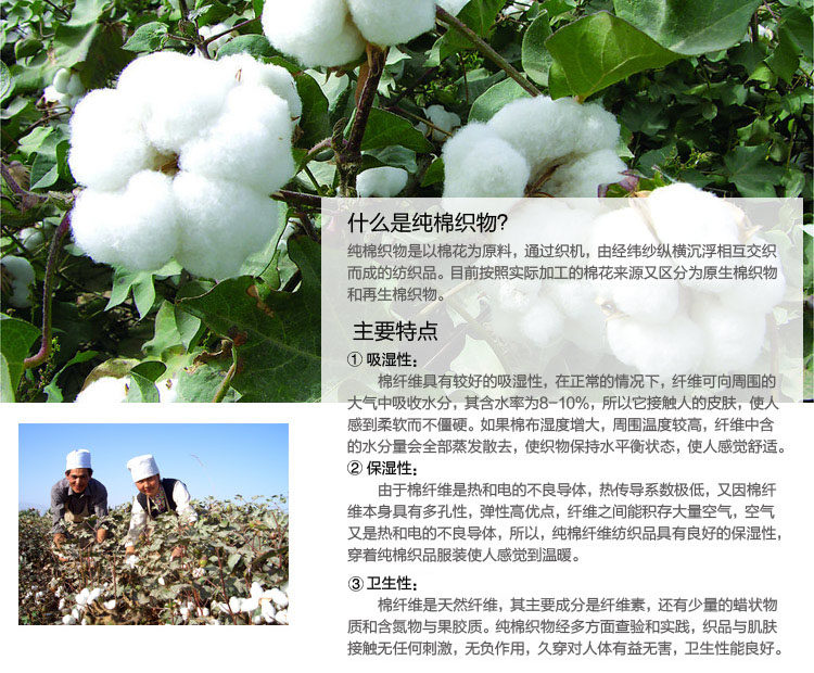 Slip Moyen-âge 1005K en coton - Ref 642928 Image 7