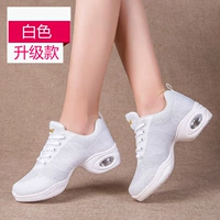 Белый смешанный летающий плетение 1811