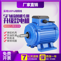 Oil-proof and moisture-proof SF axial flow fan special motor 220V exhaust fan smoke machine three-phase motor High Speed 380V