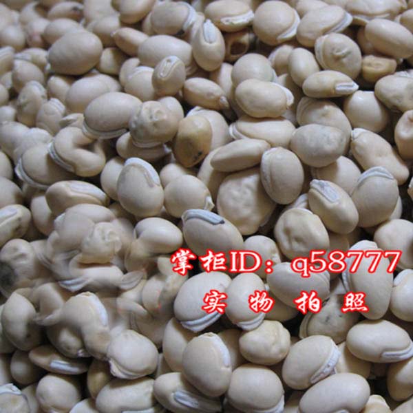 Any 6 pieces of free postal medicine medicine white lentils 50 grams