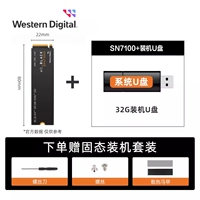 SN7100 National Bank United Insurance + 32G System USB Drive