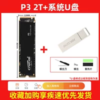 P3 2T+32G System U Disk