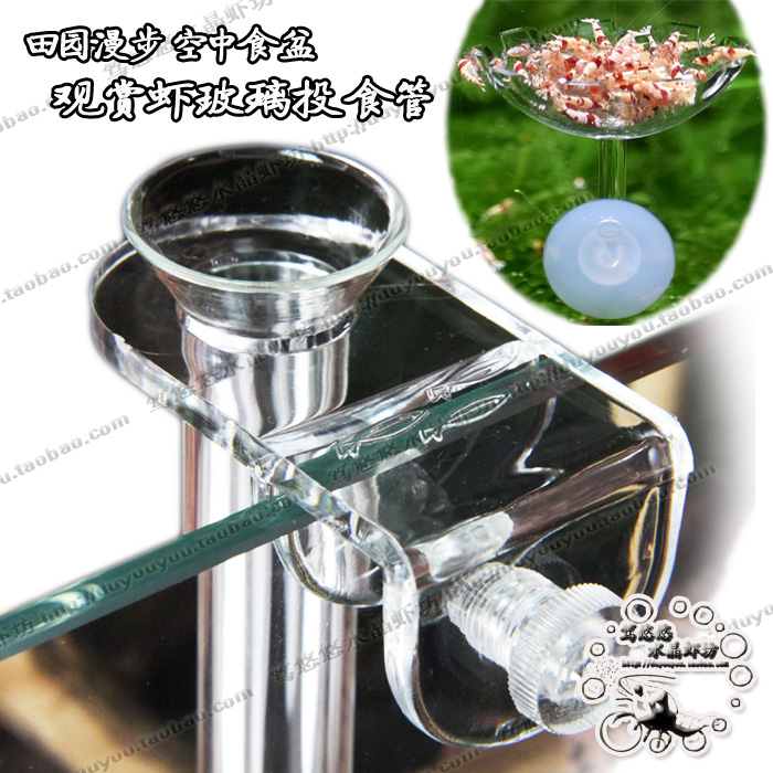 Fields Garden Stroll Watching Shrimp Glass Throw Oesophageal Crystal Shrimp Feeding Tube Aerial Shrimp Food Basin Feeding 