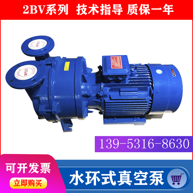 Zibo Boshan 2BV series Water Ring Vacuum pump industrial high vacuum water circulation vacuum pump compressor