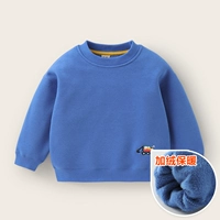 Красочный синий