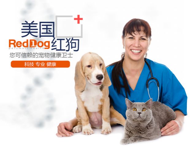 Dần dần vật nuôi tình yêu RedDog Red Dog Dinh dưỡng Kem cho chó Kem dinh dưỡng Teddy Pupgie Young Cat Dinh dưỡng Kem 120g - Cat / Dog Health bổ sung sữa cho chó 6 tháng	