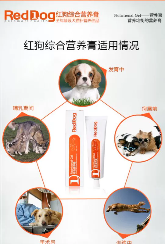 Dần dần vật nuôi tình yêu RedDog Red Dog Dinh dưỡng Kem cho chó Kem dinh dưỡng Teddy Pupgie Young Cat Dinh dưỡng Kem 120g - Cat / Dog Health bổ sung