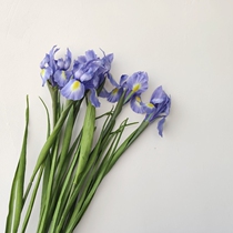 Quality Fake Flowers Iris Tail Store Long Strong Push Simulation Purple Iris Tail Out Shooting Props Home Flower Arrangement Pendulum