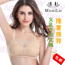 Special MSL breast bra mold Cup breast bra