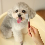 Собачья лапша расчесывает домашние животные мини -сбитые волосы расчесываем