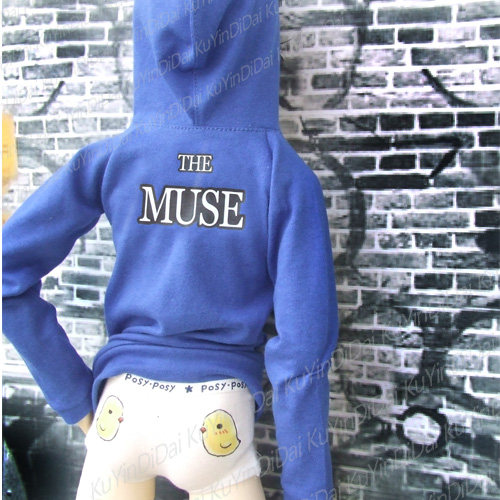 [蓝色拉链上衣5]