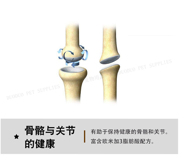 3 pound vận chuyển nhập khẩu vào Pháp Ragdoll Cat Thực phẩm 500g mèo lông dài cố gắng ăn đóng gói nạp - Gói Singular thức ăn cho chó con 2 tháng tuổi