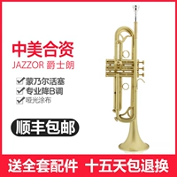 Jazz Long Nhỏ JZTR-450 Nhạc cụ chải mờ Mờ mới Trình diễn chuyên nghiệp Mức độ thách thức Trumpet - Nhạc cụ phương Tây đàn guitar điện