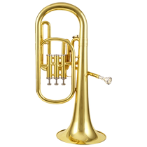 Zingbao Lilly JBWAH-10 Tsubao professional Chinese voice number lacquer gold drop E