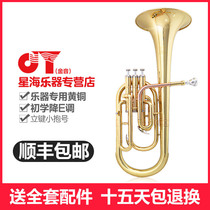 Xinghai Golden Sound JYAH-E100G Painted Gold Key Midrange Er Band Special