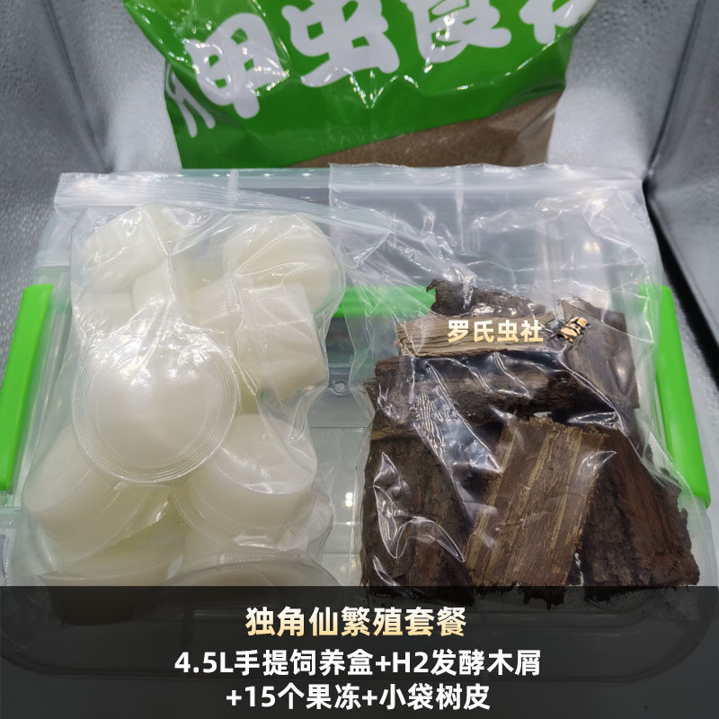 The larvae of the unicorn breeding package in the flat and large Stucker beetle, the larvae of the breeding pet insect beetle