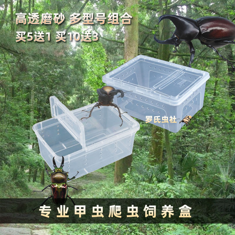 Stag beetle unicorn centipede beetle transparent breeding box reptile box pet insect live breathable beetle breeding box