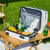 Чемодан, 20×30×40см, 14 дюймов