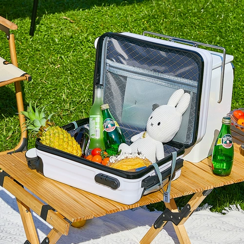 Чемодан, 20×30×40см, 14 дюймов