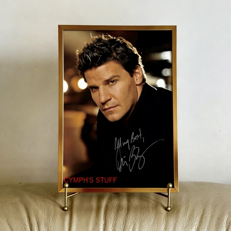 Tracing the Bones David Boreanaz Signature Photo with Frame