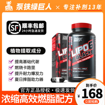 Blazing Angel Nutrex Lipo6 Black 60 capsules Increase metabolism of fat Blue Devil Black Devil L -