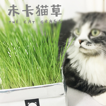 2 Australia imports without soil organic cat grass a glass of water can feed the headstand without spilling the healthy puff ball